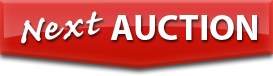 Next Auction